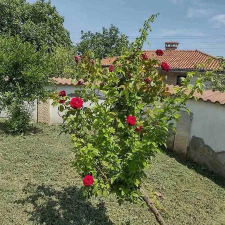 Vilă Kambala House - Sea View, Pool & Comfort