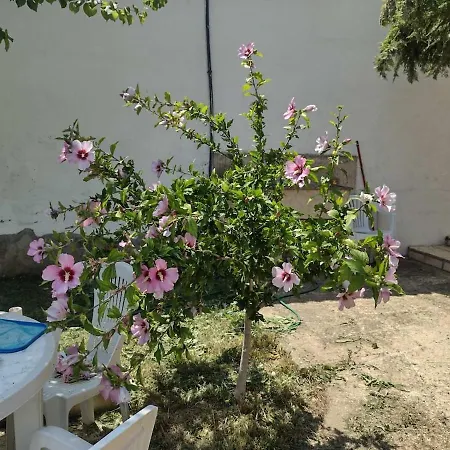 Vilă Kambala House - Sea View, Pool & Comfort